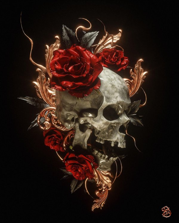 красивые черепа