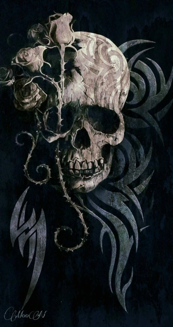 черепа эскиз