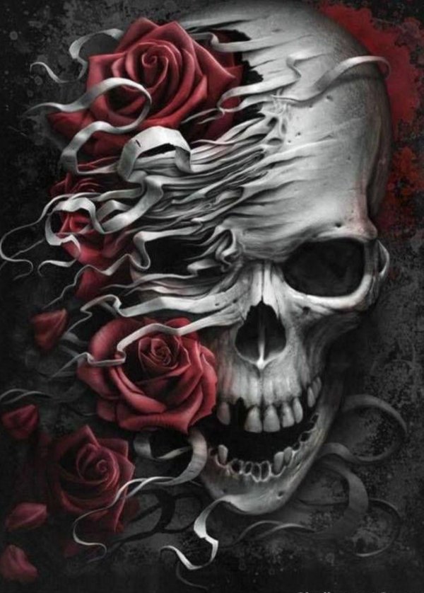 черепа и розы