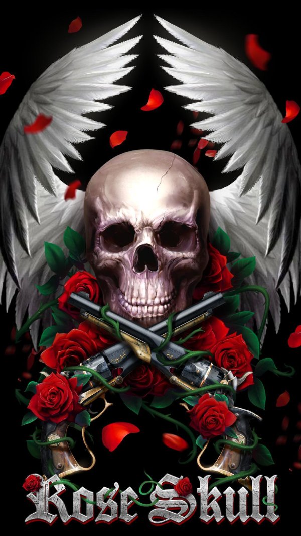 guns n roses skull