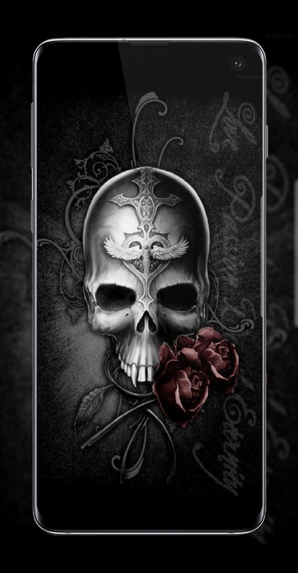 черепа на черном фоне