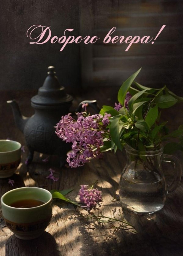 сирень натюрморт