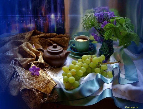 постановочный натюрморт