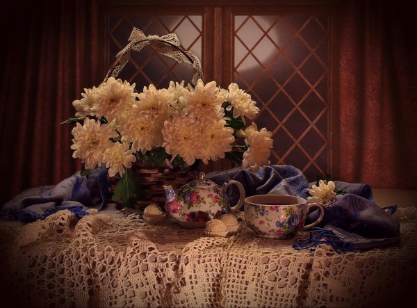 фотонатюрморты валентина колова