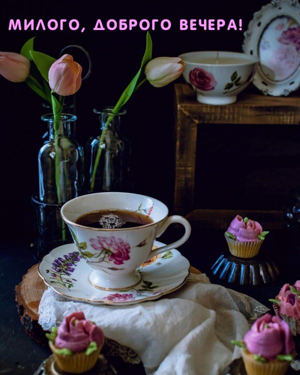 добр вечер