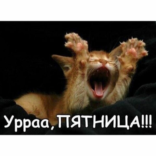 с пятницей смешные