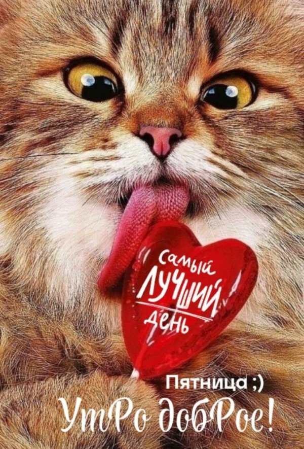 легкой пятницы