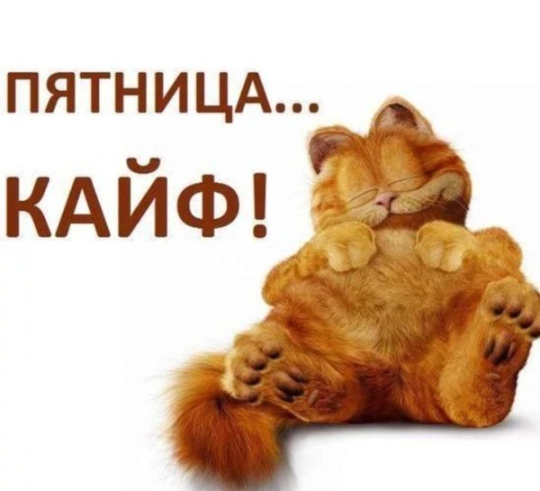 кот гарфилд