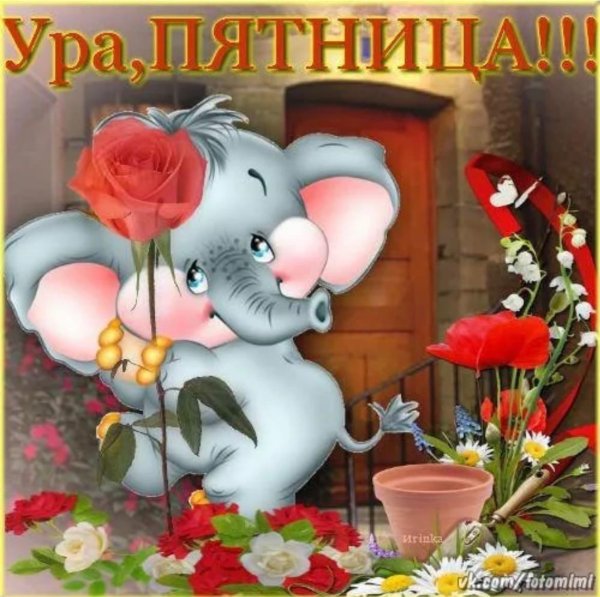 замечательной пятницы