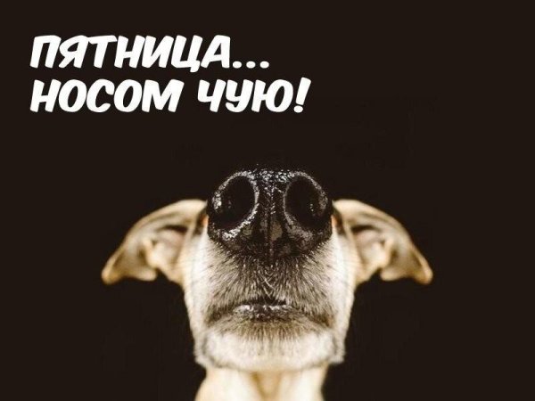 от пятницы до пятницы