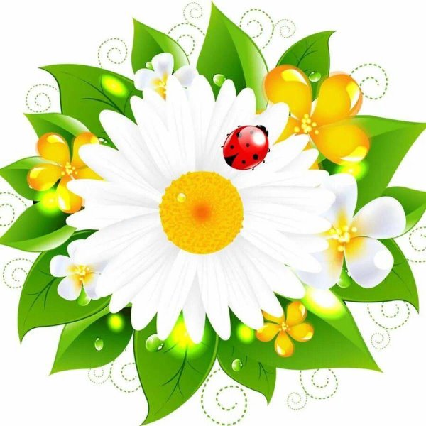 мультяшная ромашка