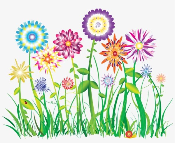 цветки рисунки