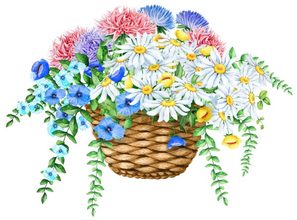 корзина полевых цветов