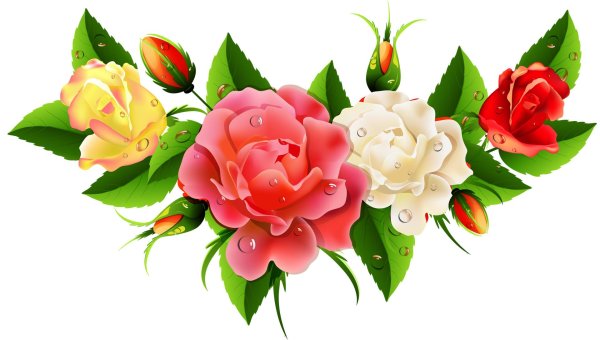 роза клипарт