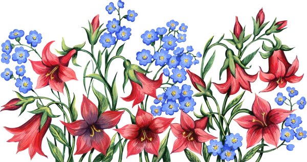 цветки рисунки