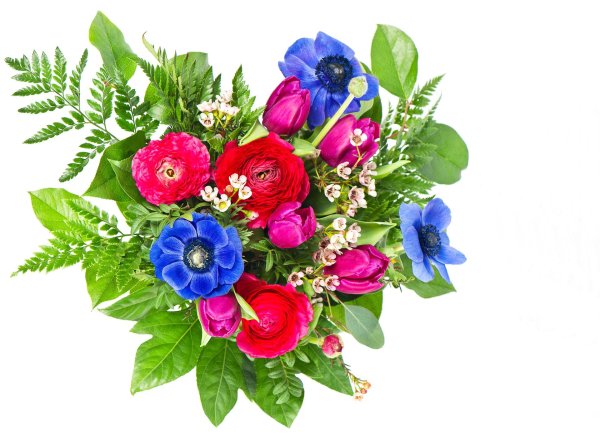 букет синих анемонов