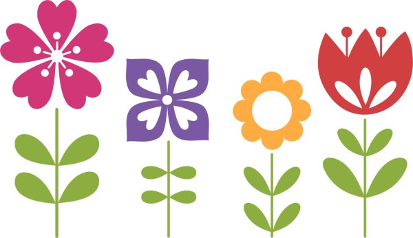 разные цветы