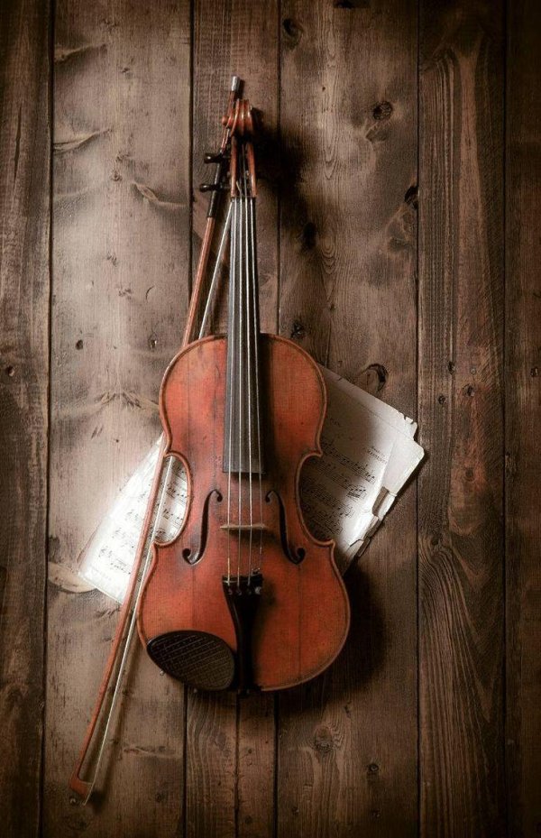 натюрморт со скрипкой