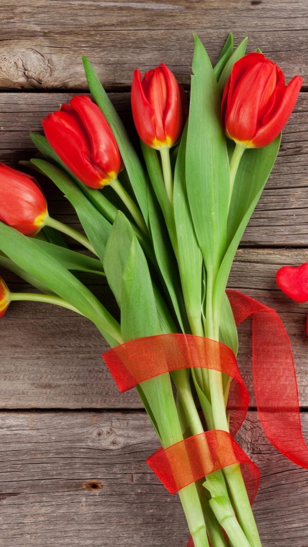 букет красных тюльпанов