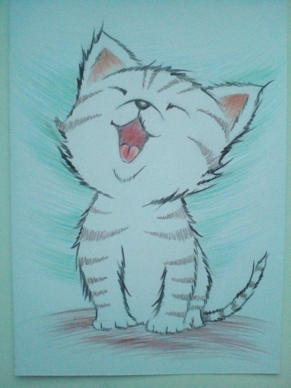 кошка рисунки