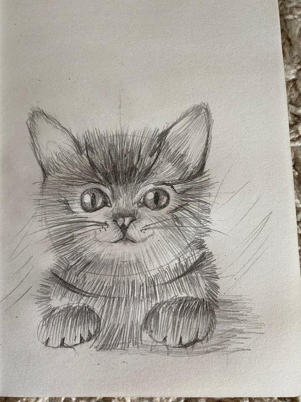 котенок карандашом
