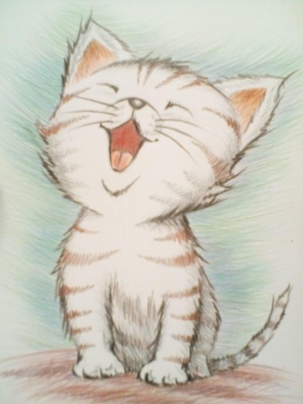 котëнок рисунок