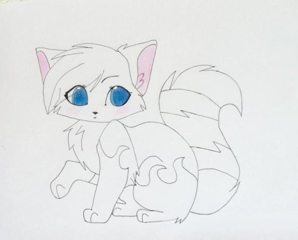раскраска аниме котик