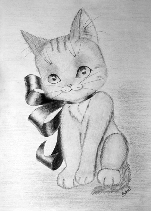 котёнок рисунок карандашом легкий