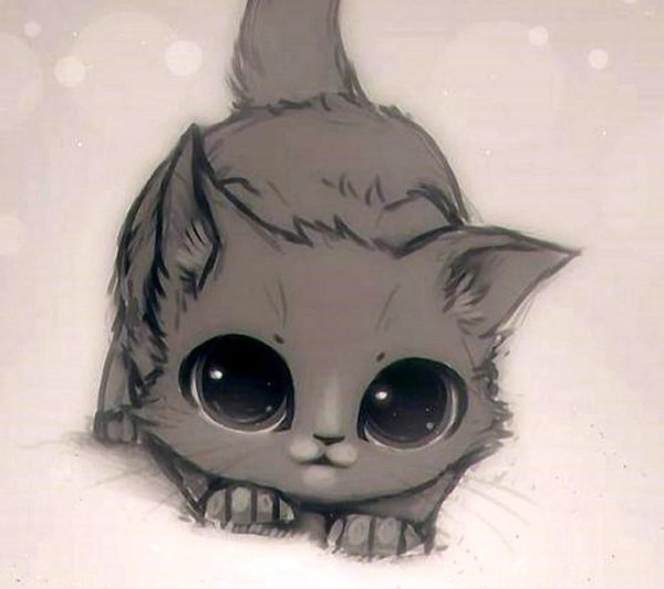 милые мультяшные котята