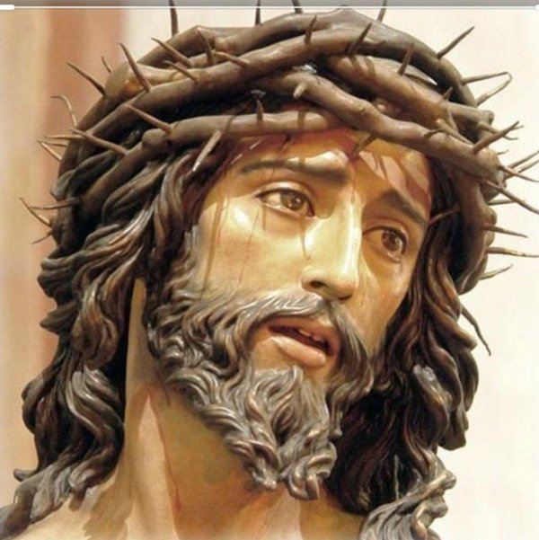 терновый венец иисуса