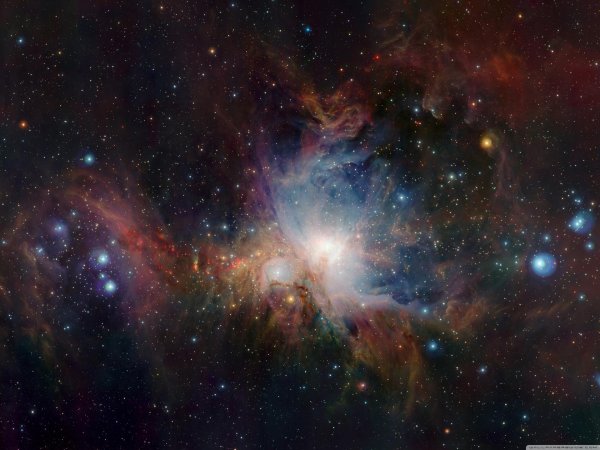 great nebula in orion