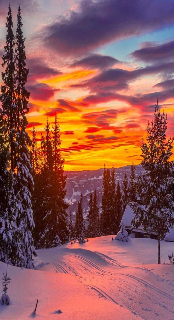 зимние пейзаж