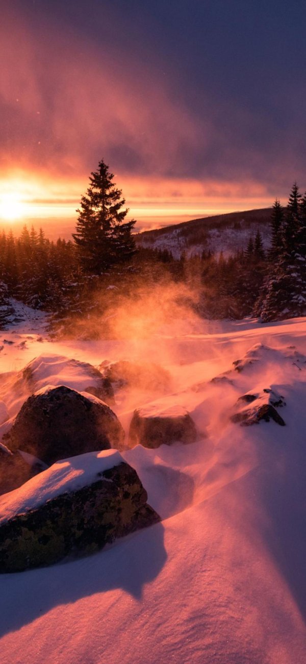 зимний рассвет