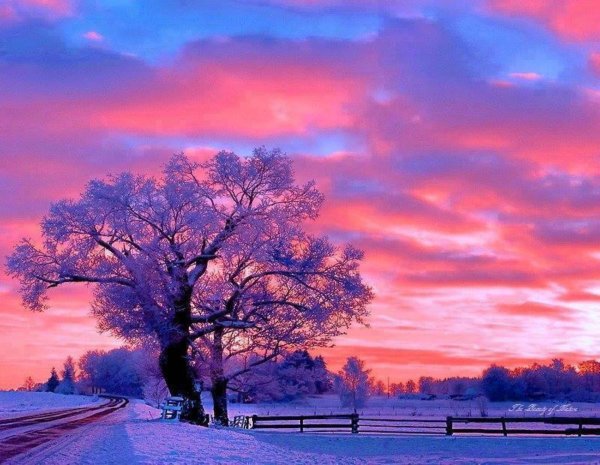 зимние закаты