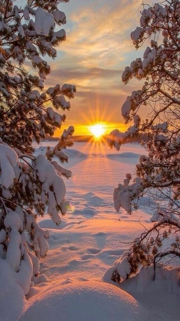 пейзажи зимние