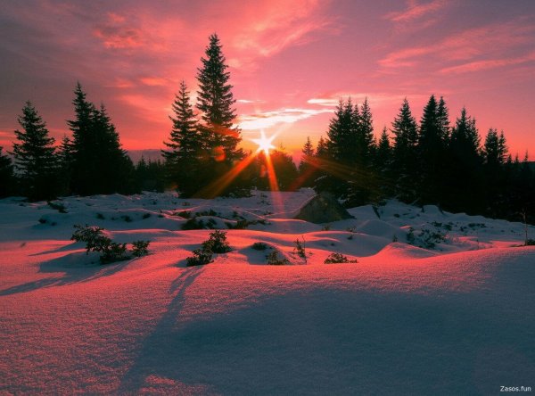 зимние закаты