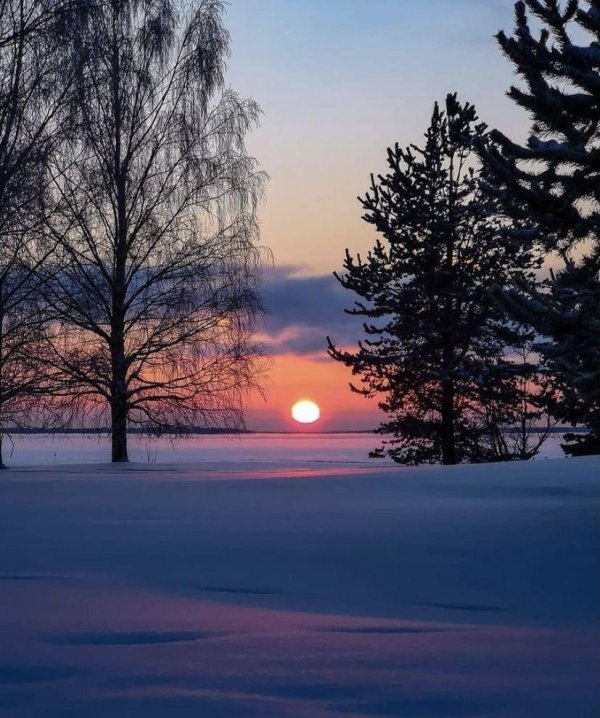 пейзаж зима