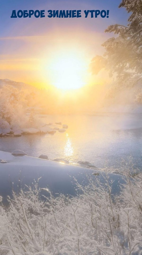 зимнего утра