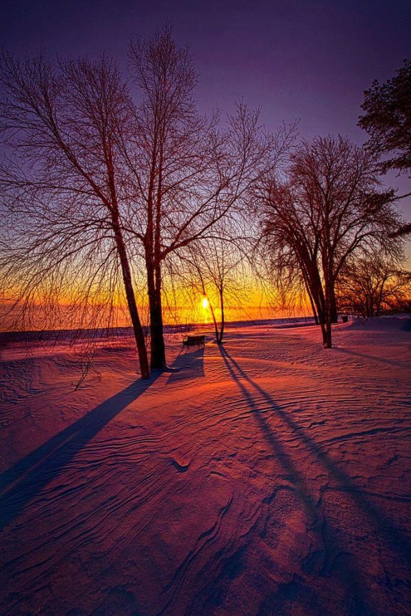 картинки зимы красивые природа