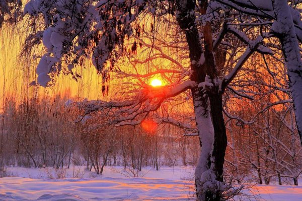 рассвет зимой