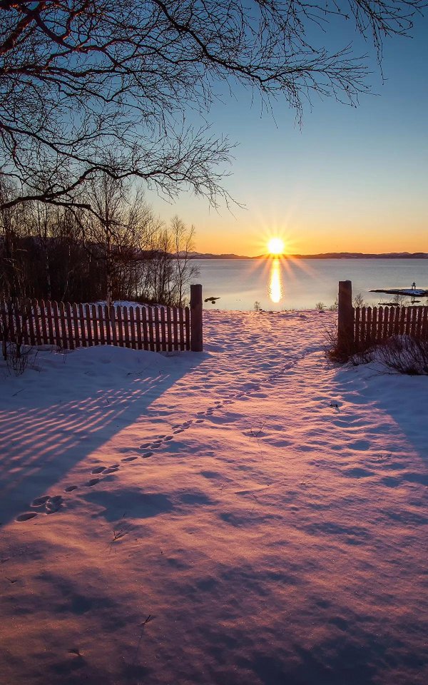 зимний рассвет