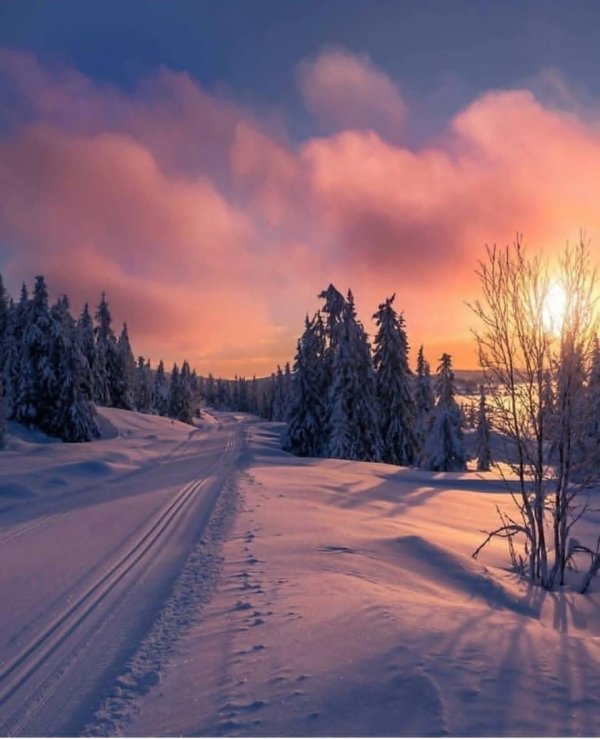 пейзаж зимний