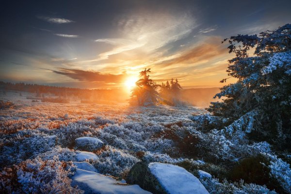 зимние пейзаж