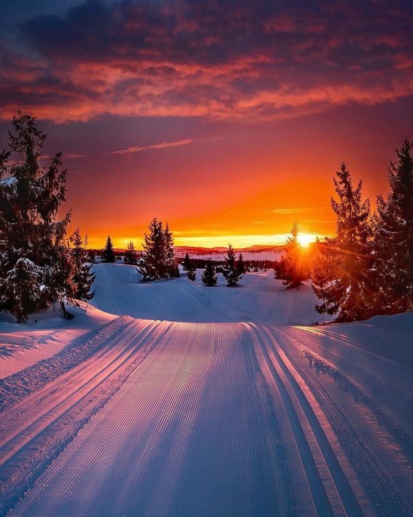 зимние закаты