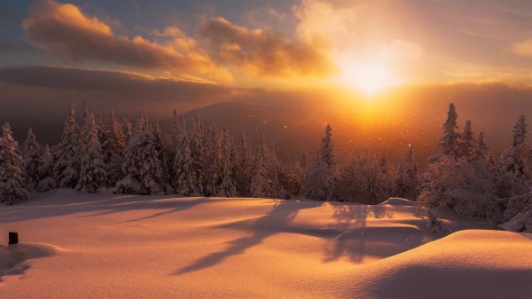 рассвет зима