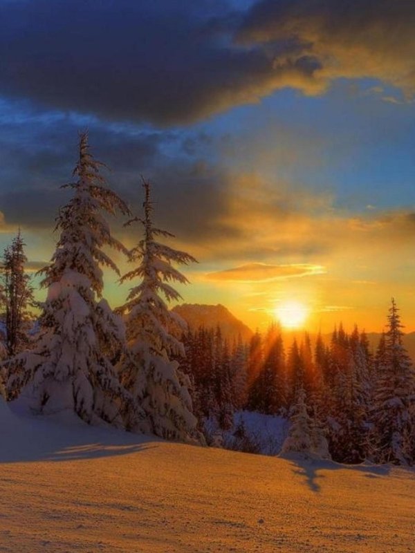 зимние пейзаж