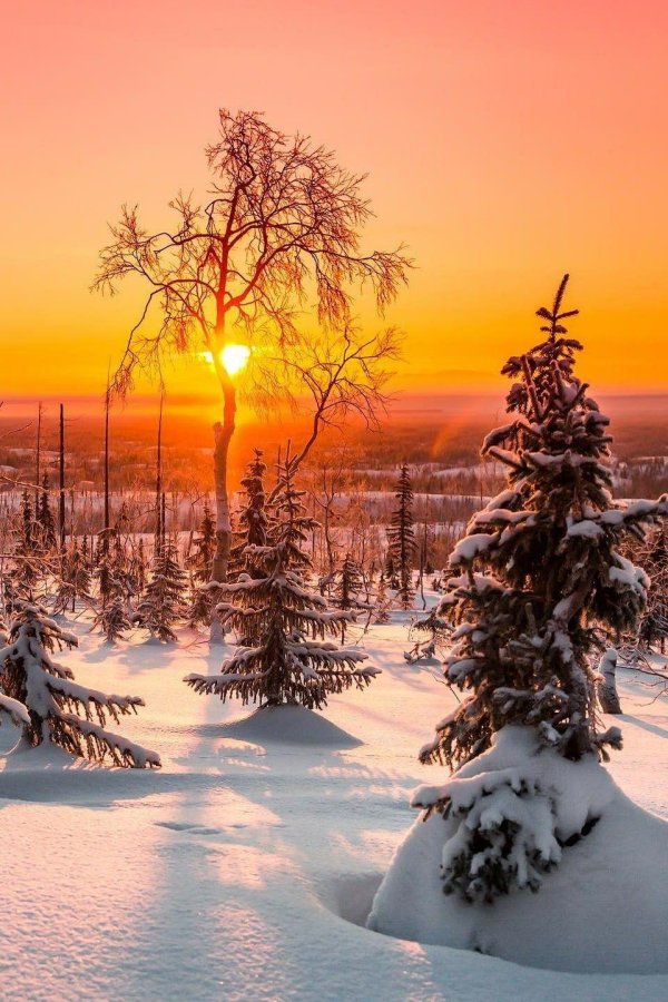 рассвет зима