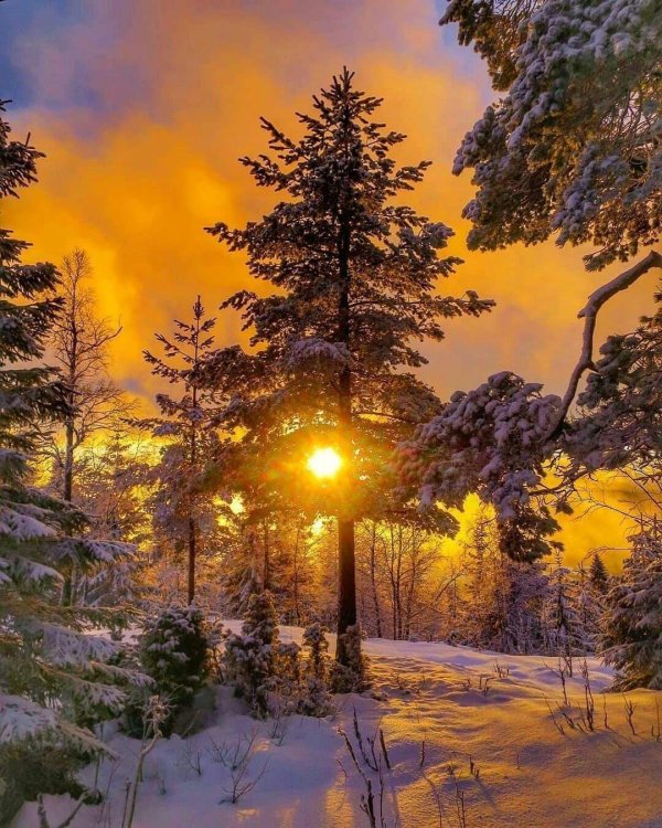 зимние пейзаж