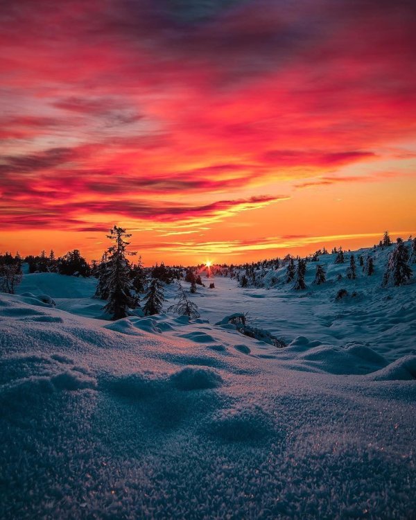 зимние закаты