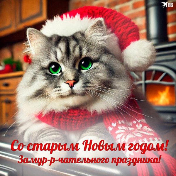 котик поздравляет с новым годом